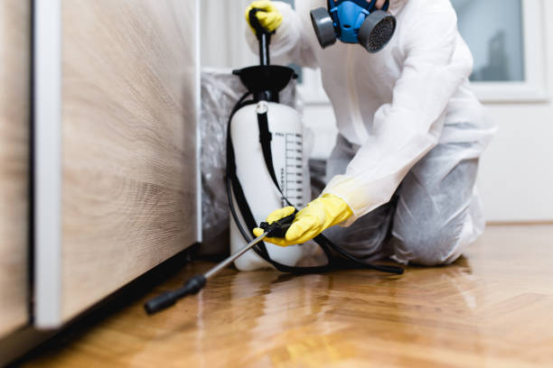 Best Local Pest Control Services  in Staic, CA