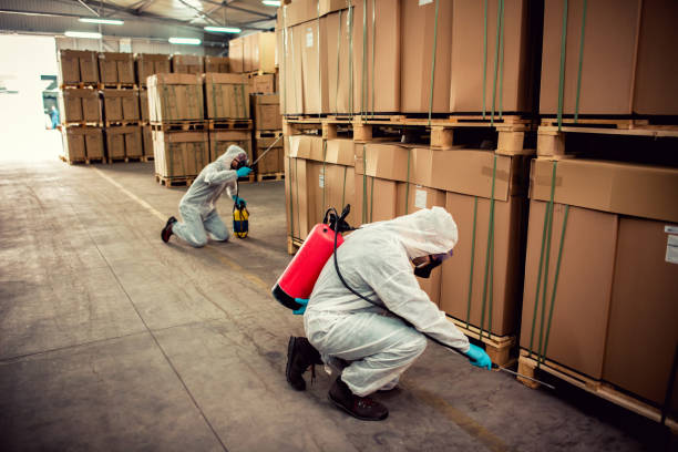 Best Rat Extermination Near Me  in Staic, CA