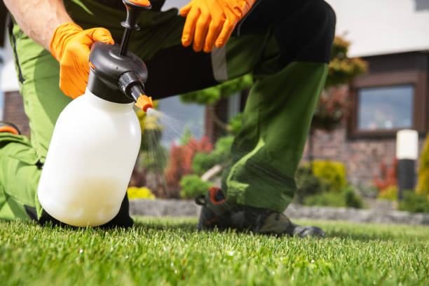 Best Exterminator Services  in Staic, CA