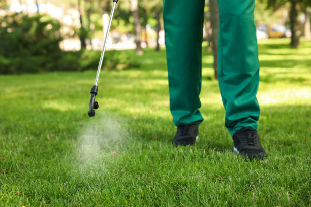 Best Best Pest Control Companies  in Staic, CA
