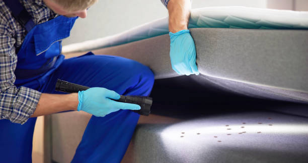 Best Affordable Pest Control Services  in Staic, CA