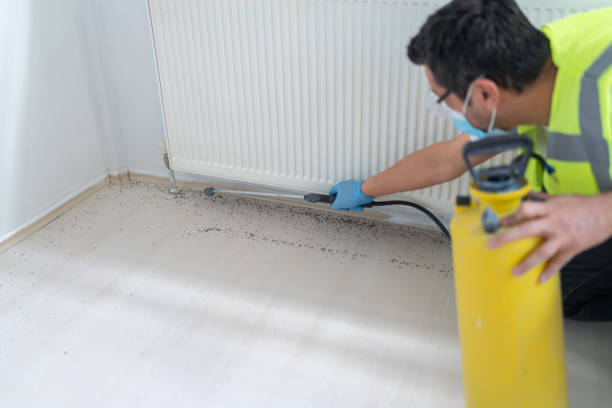 Best Commercial Pest Control Services  in Staic, CA